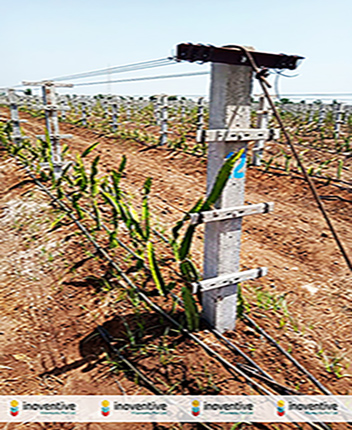 Inoventive Filaments